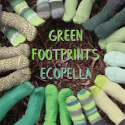 Green Footprints cover 182x182.jpg